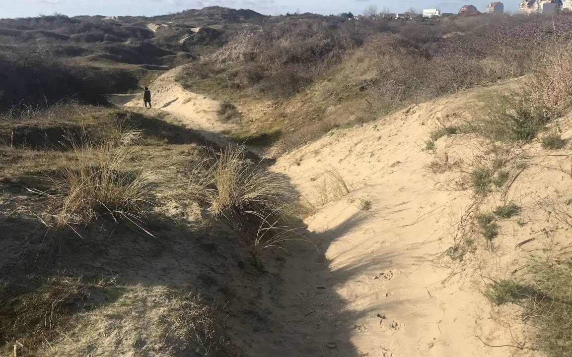 Photo of Others in Bray-Dunes