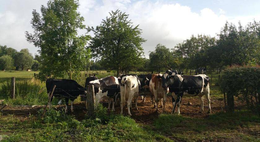 Photo of Others in Saint-Amand-les-Eaux