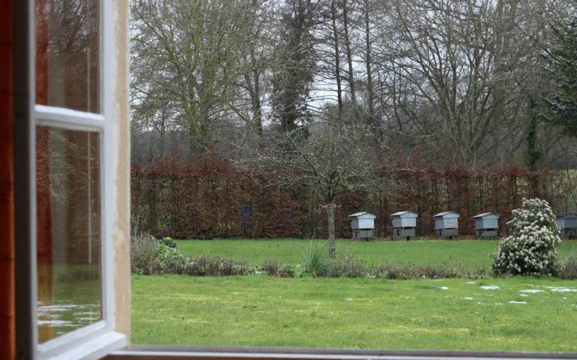 Photo of Others in Boischampre