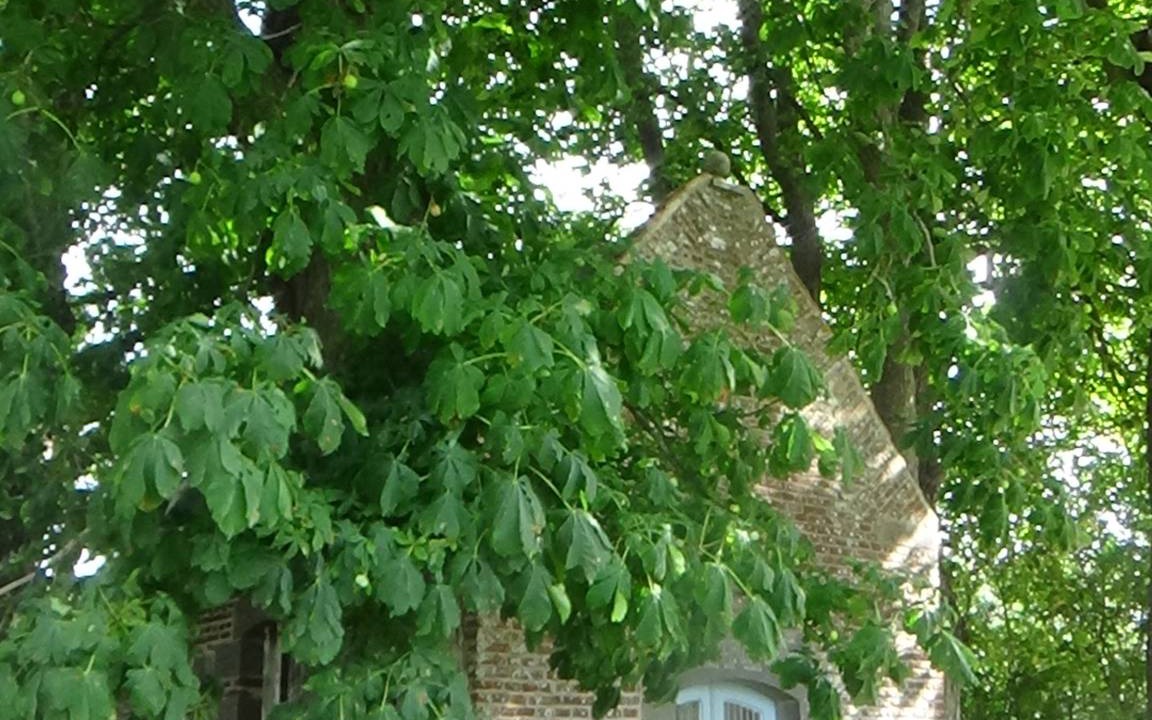 Photo of Others in Leval