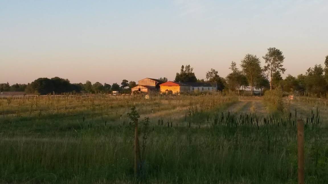 Photo of Others in Chailly-en-Biere