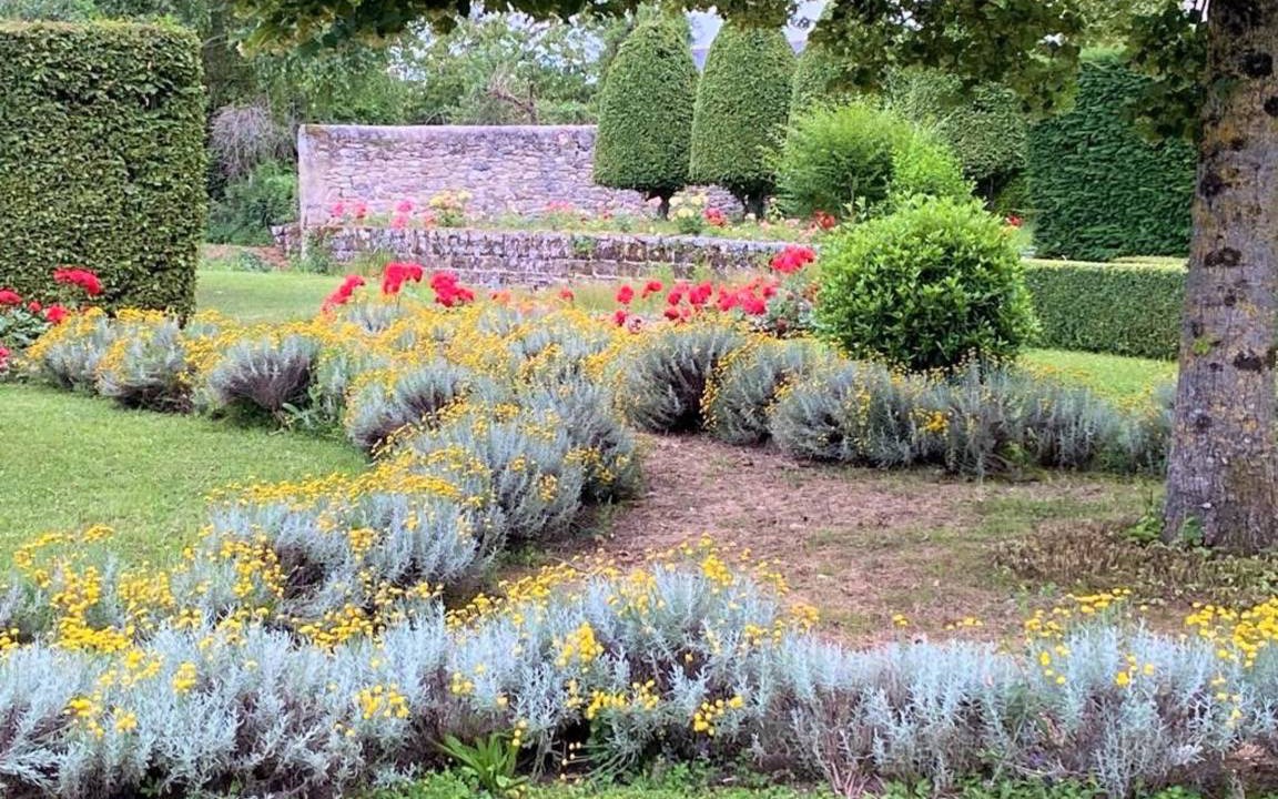 Photo of Others in Saint-Georges-sur-Layon