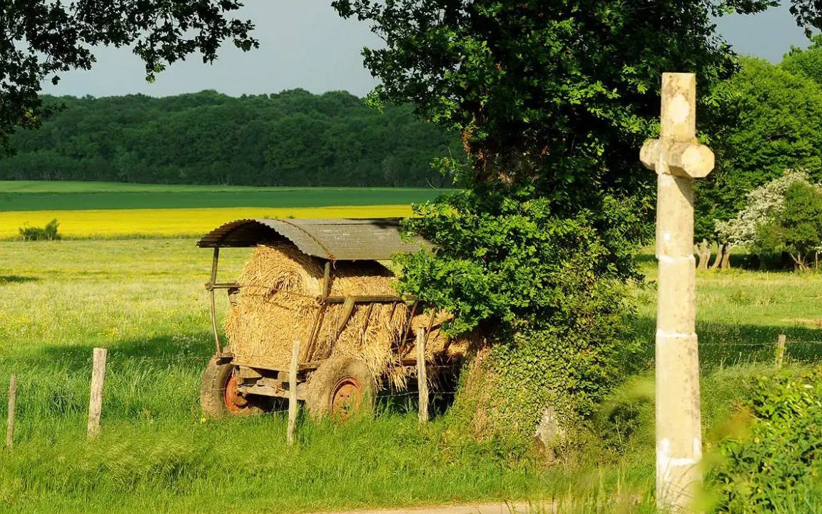 Photo of Others in Colmery