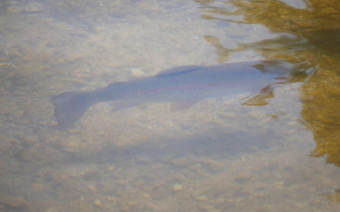 Photo of Others in Lacroix-sur-Meuse