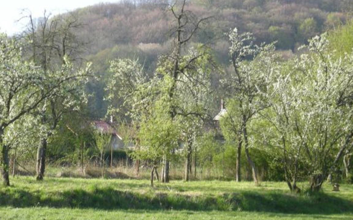 Photo of Others in Halles-sous-les-Cotes