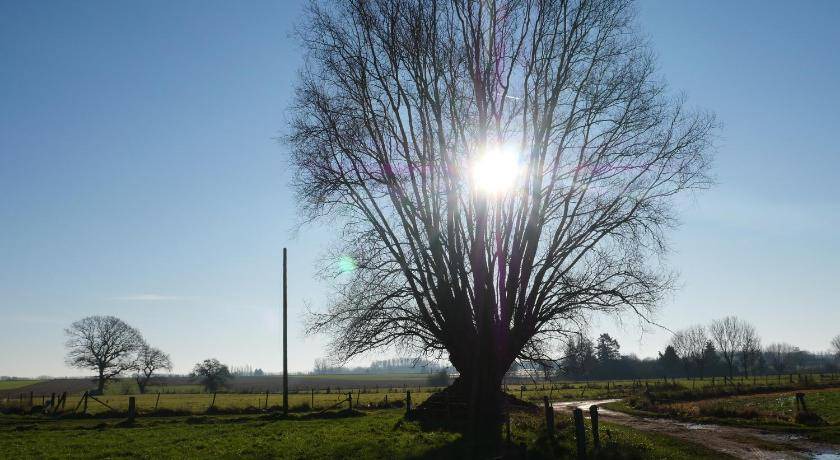 Photo of Others in Flines-les-Mortagne