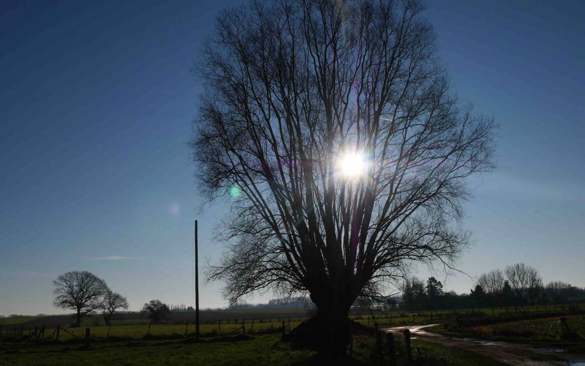 Photo of Others in Flines-les-Mortagne