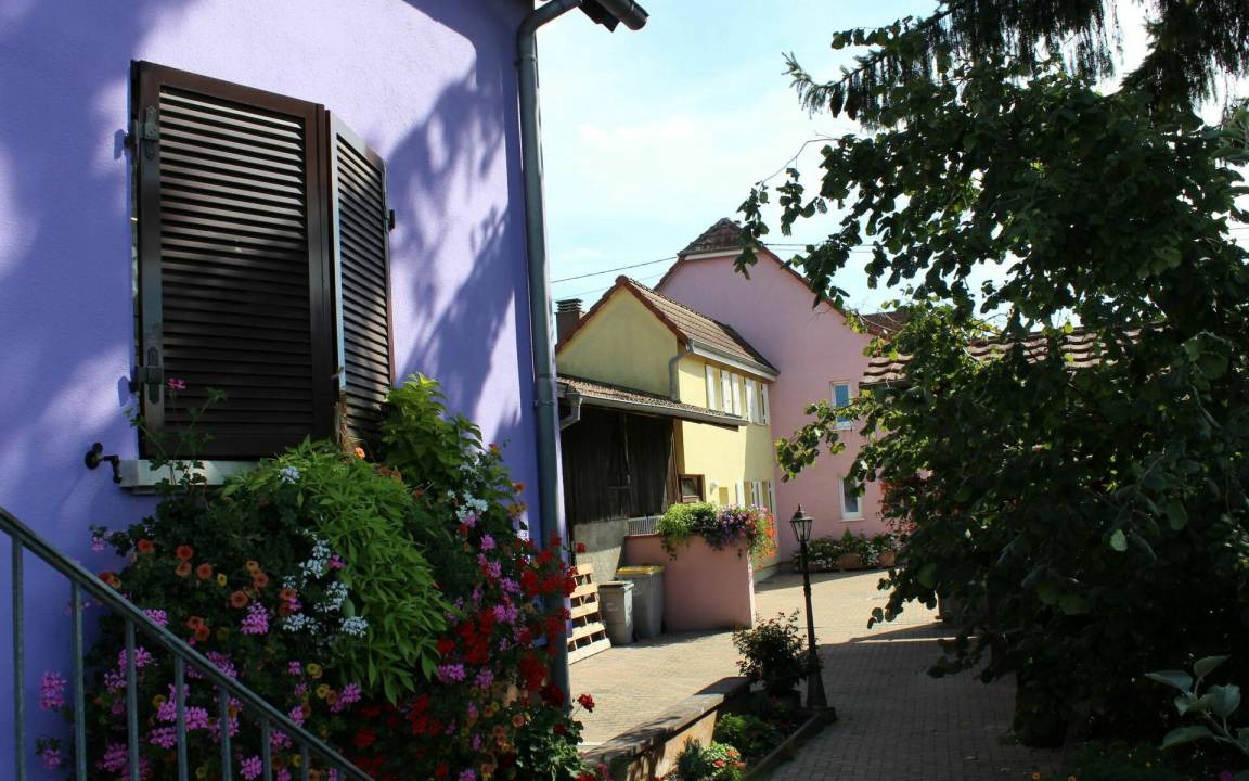 Photo of Others in Marckolsheim