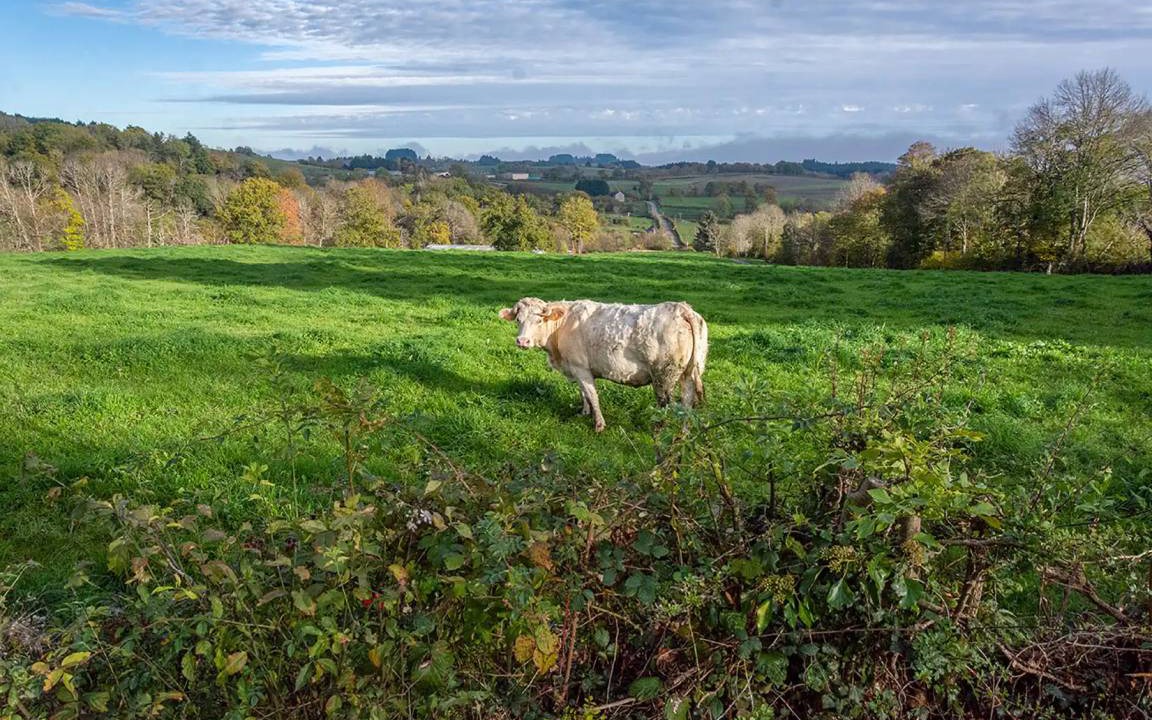 Photo of Others in Roussillon-en-Morvan