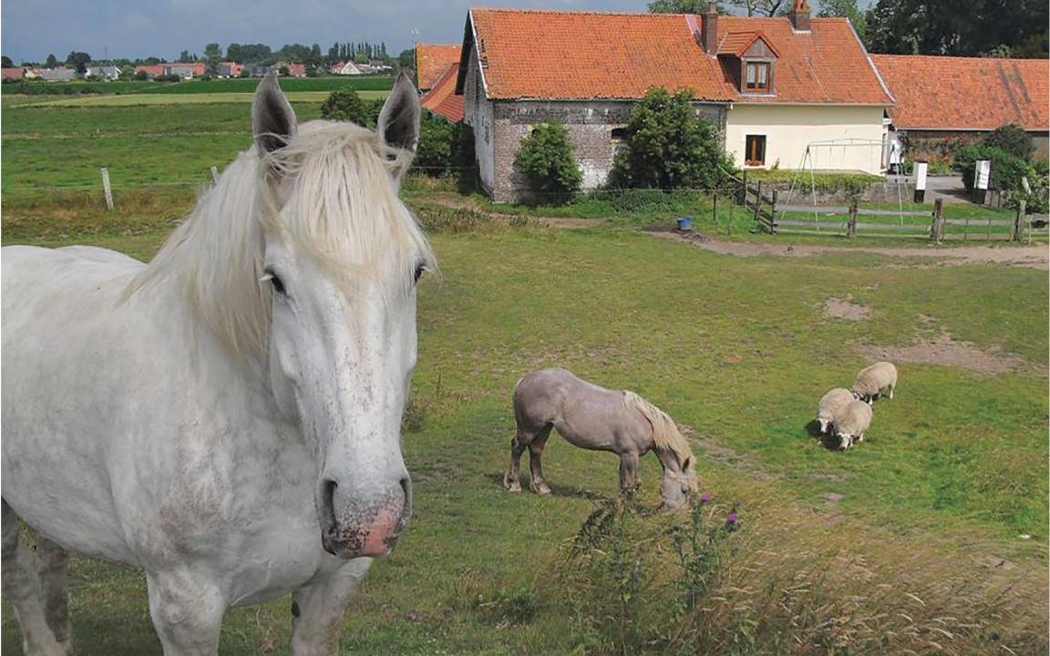Photo of Others in Hames-Boucres