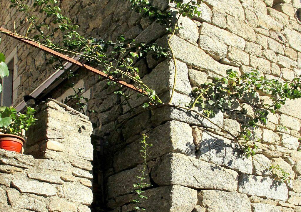 Photo of Others in Sainte-Marguerite-Lafigere