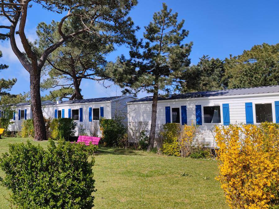 Photo of Others in Cayeux-sur-Mer