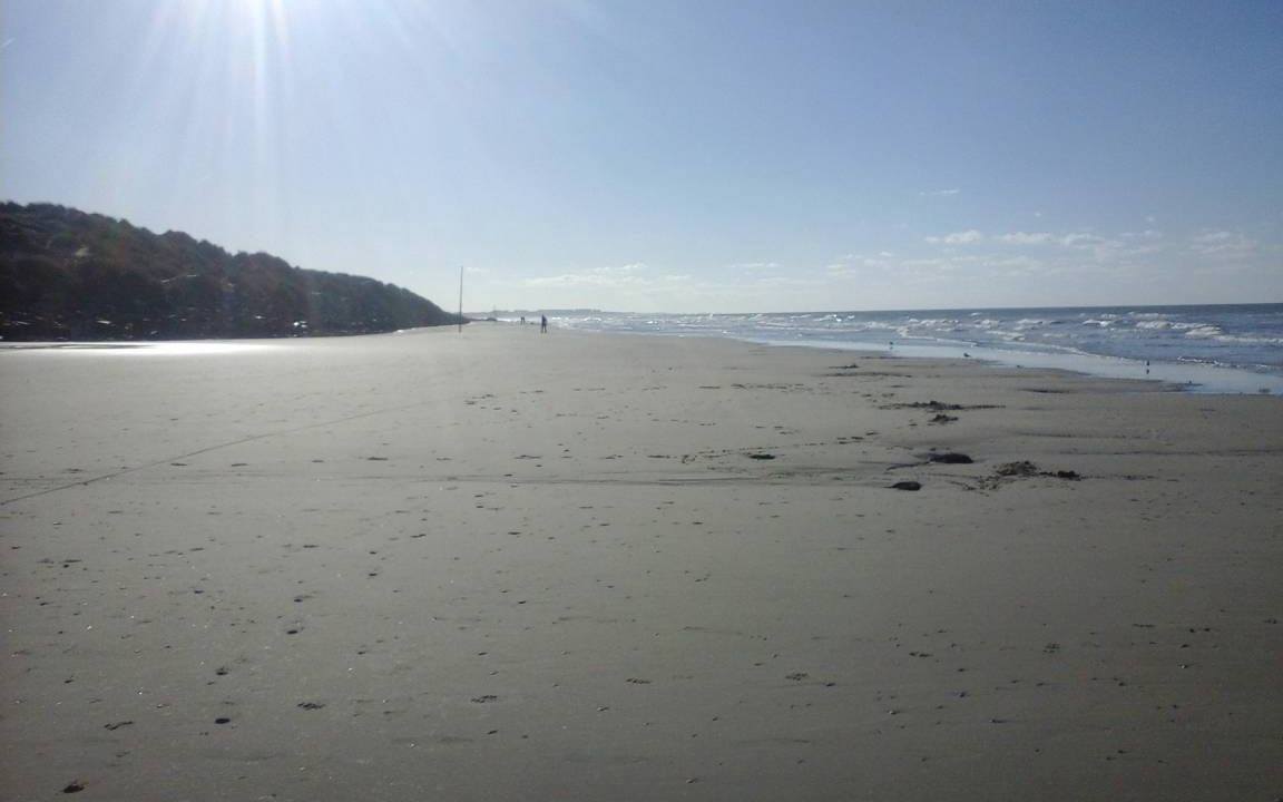 Photo of Others in Sainte-Cecile-Plage