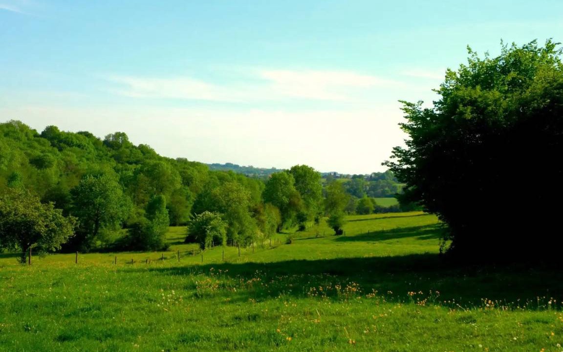 Photo of Others in Englancourt