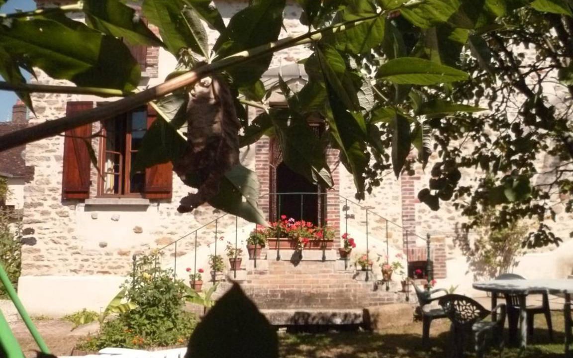Photo of Others in Cheu