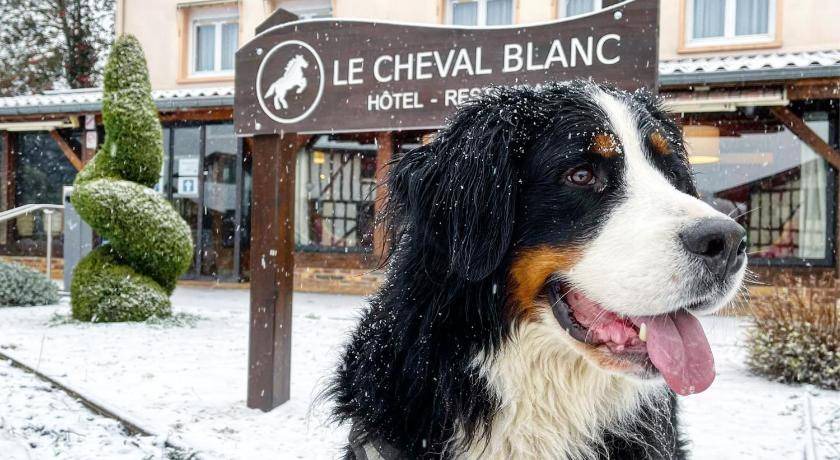 Photo of Others in Giffaumont-Champaubert