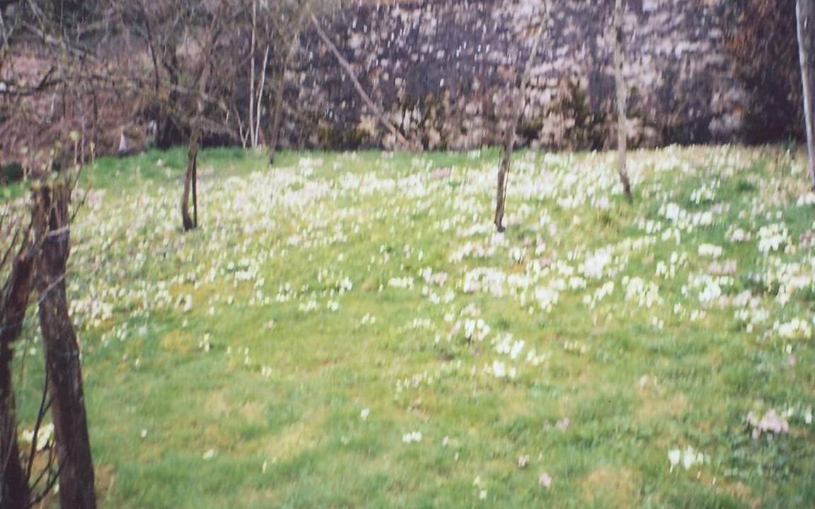 Photo of Others in Domecy-sur-le-Vault