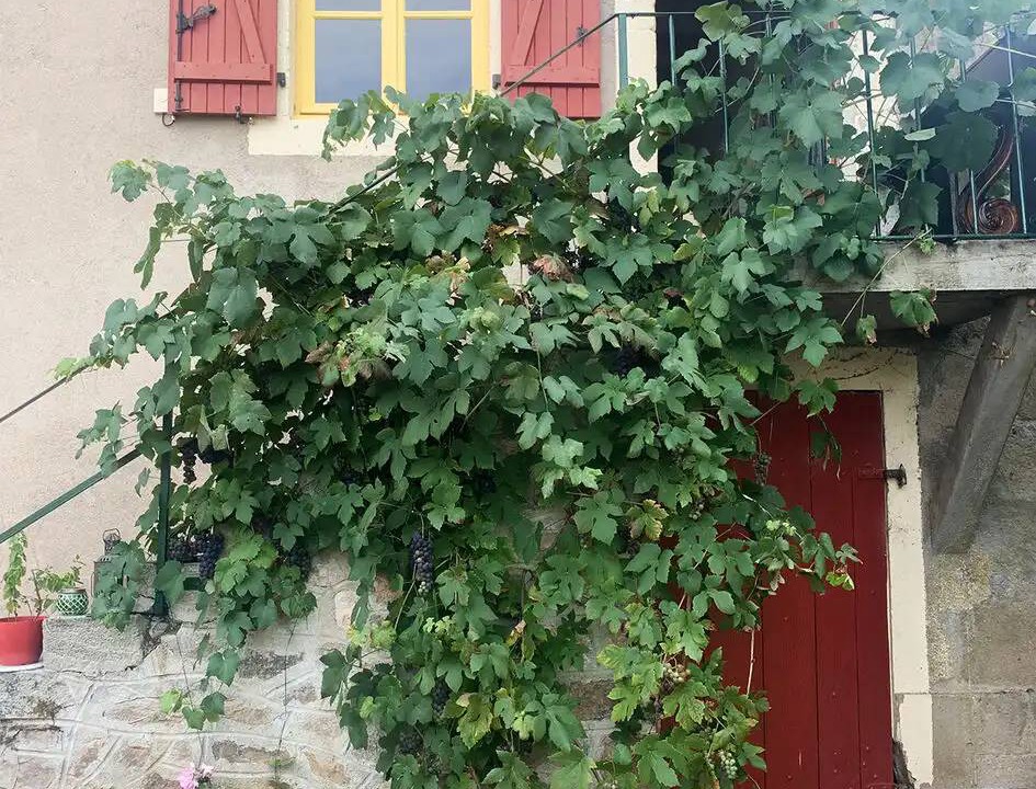 Photo of Others in Roussillon-en-Morvan