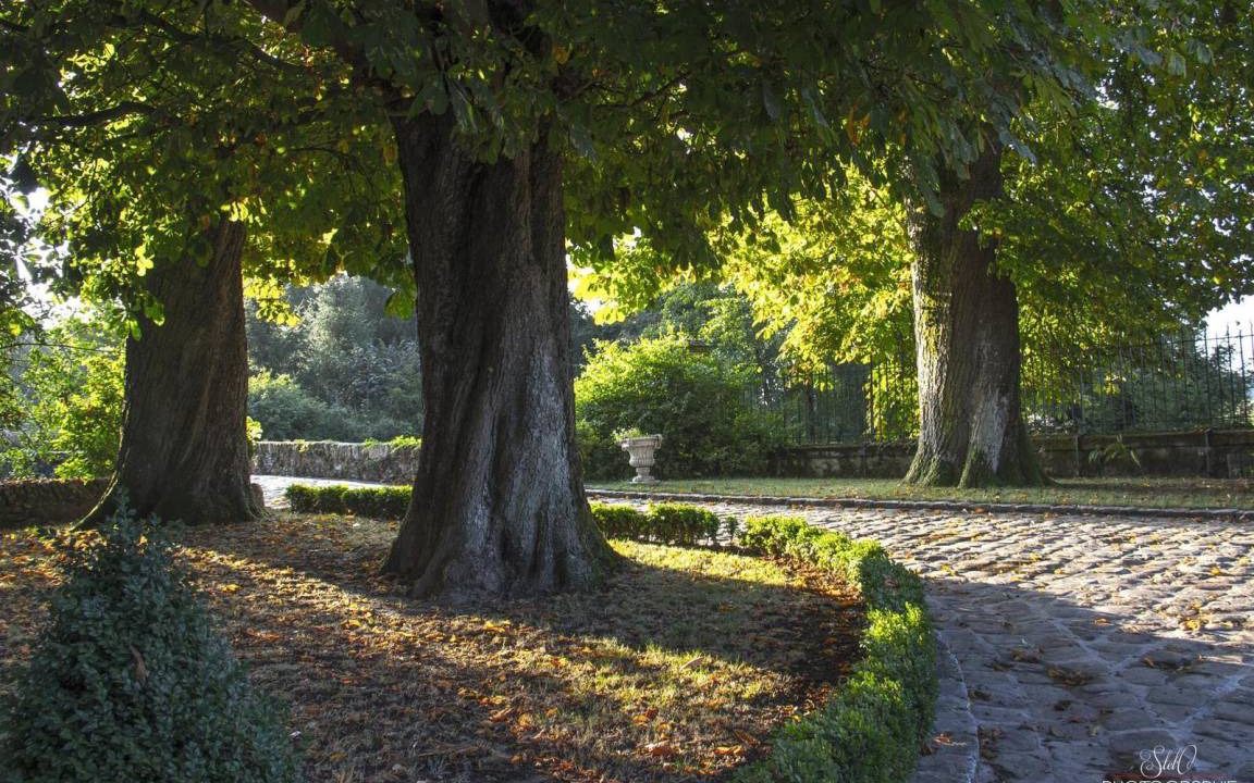 Photo of Others in Crevecœur-en-Brie