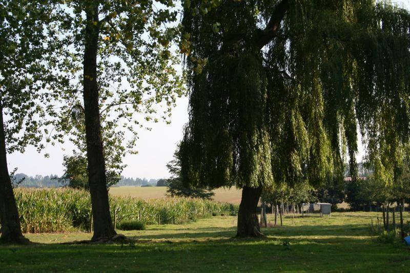 Photo of Others in Saint-Crespin