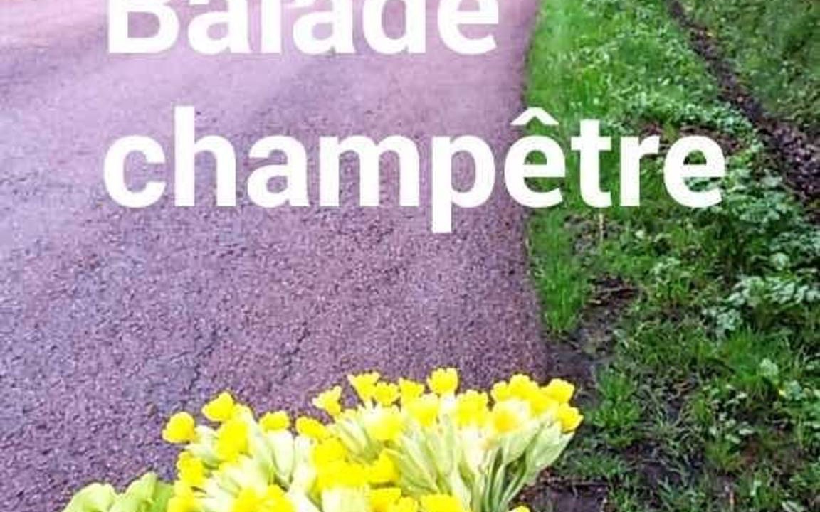 Photo of Others in Saint-Amand-en-Puisaye