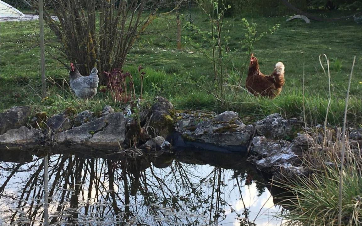 Photo of Others in Sainte-Marie-sur-Ouche