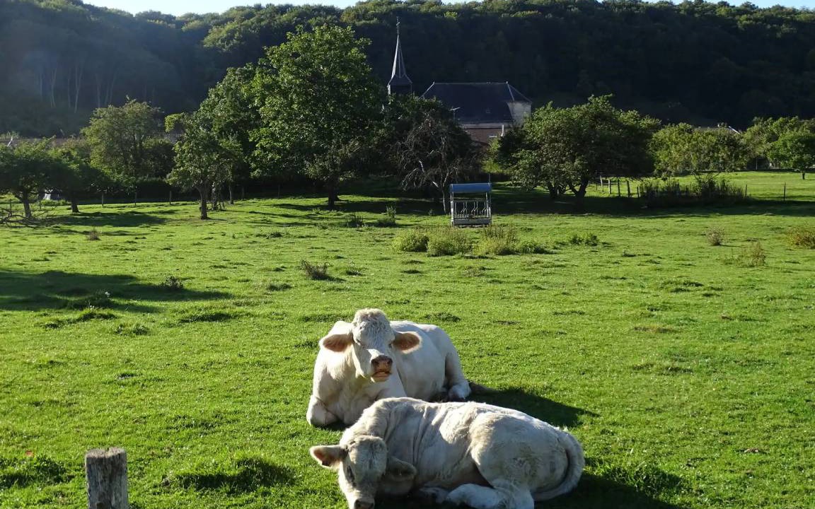 Photo of Others in Brandeville