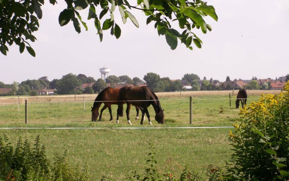 Photo of Others in Fournes-en-Weppes