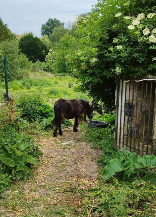 Photo of Others in Vassens