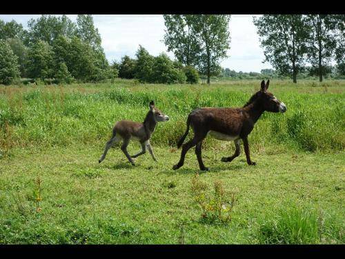 Photo of Others in Tigny-Noyelle