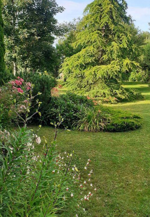 Photo of Others in Arbonne-la-Foret