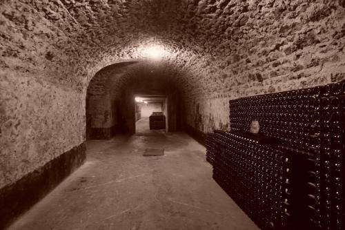 Photo of Others in Le Mesnil-sur-Oger