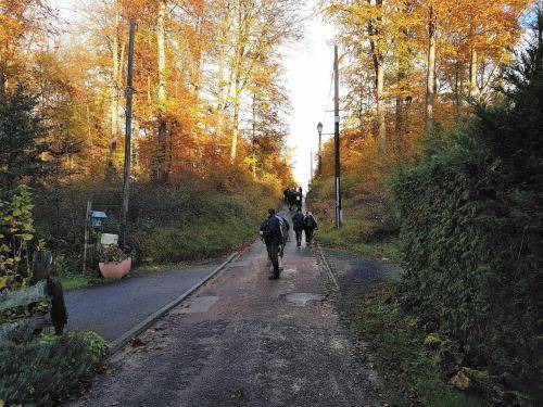 Photo of Others in Saint-Jean-aux-Bois