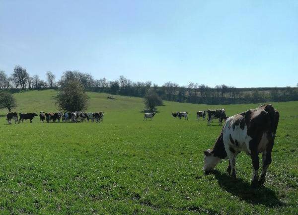 Photo of Others in Banteux