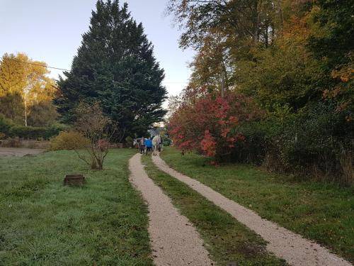 Photo of Others in Saint-Jean-aux-Bois