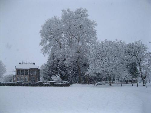 Photo of Others in Savigny-en-Revermont