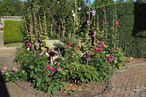 Photo of Outdoor in Esches