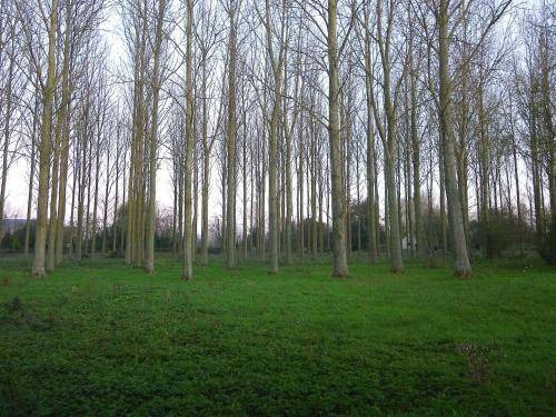 Photo of Others in Tigny-Noyelle