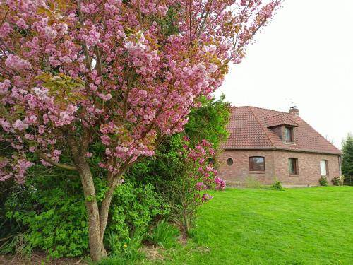 Photo of Buildings in Verlinghem