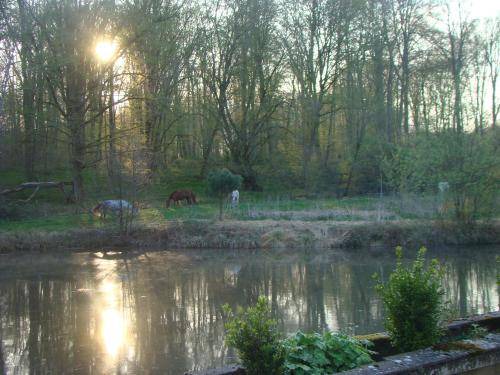 Photo of Others in Saint-Jean-aux-Bois