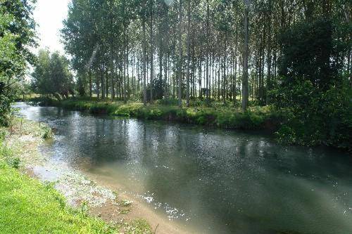 Photo of Others in Tigny-Noyelle