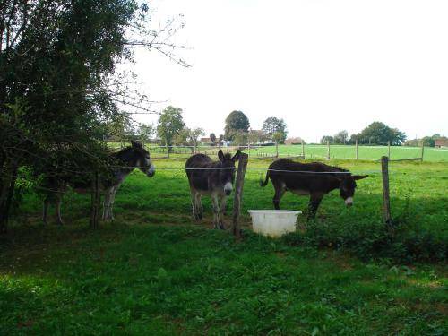 Photo of Others in Savigny-en-Revermont