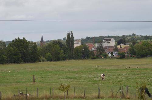 Photo of Buildings in Kindwiller