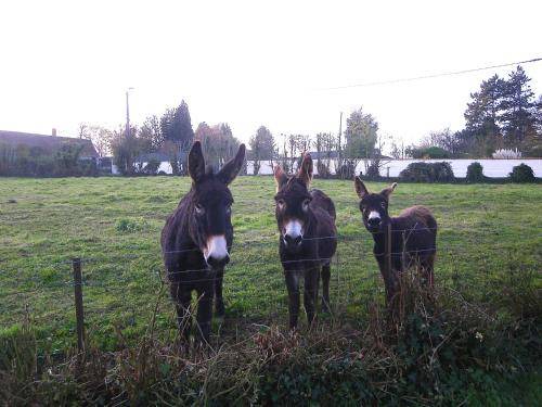 Photo of Others in Tigny-Noyelle