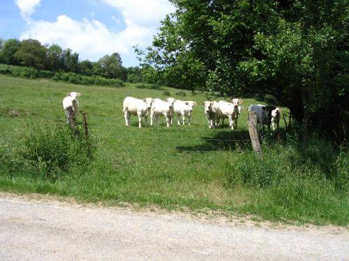 Photo of Others in Hagnicourt