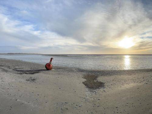 Photo of Human In Picture in Sainte-Cecile-Plage