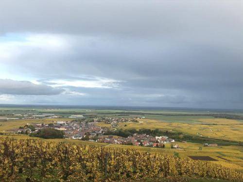 Photo of Others in Le Mesnil-sur-Oger