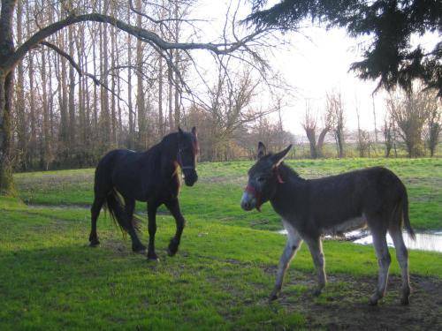 Photo of Others in Tigny-Noyelle