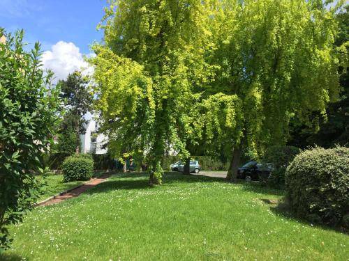 Photo of Others in Argenteuil