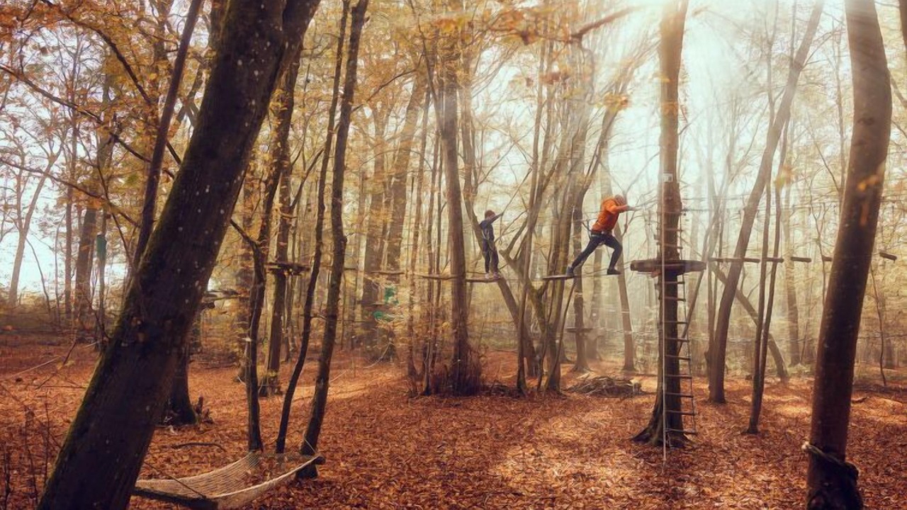 Photo of Outdoor in Bailly-Romainvilliers